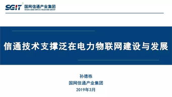 ppt 国网信通产业集团副总经理 孙德栋 信通技术支撑泛在电力物联网建设与发展